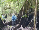 DSC03983 Amazon2