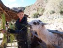 DSC00639 190704a llama petting 031